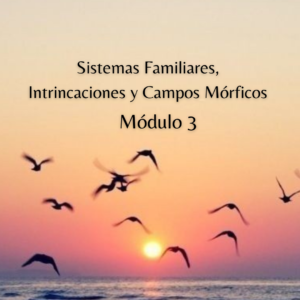 Los Sistemas Familiares, Intrincaciones, Campos Mórficos